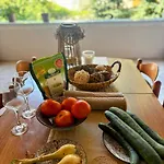Апартаменты Mary's House Roof Garden Hub *