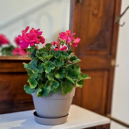 Mary's House - Urban Promenade Vibes