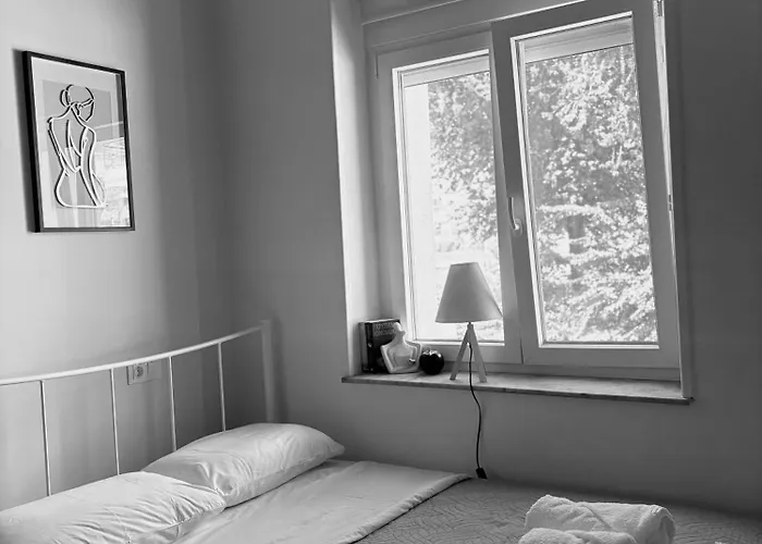 Mary's House Roof Garden Hub *